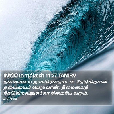 நீதிமொழிகள் 11:27 TAMIRV Bible Verse Image