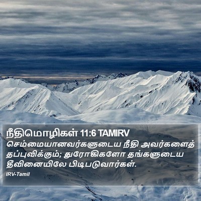 நீதிமொழிகள் 11:6 TAMIRV Bible Verse Image