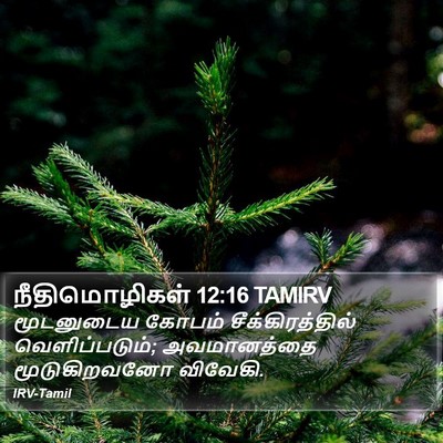 நீதிமொழிகள் 12:16 TAMIRV Bible Verse Image