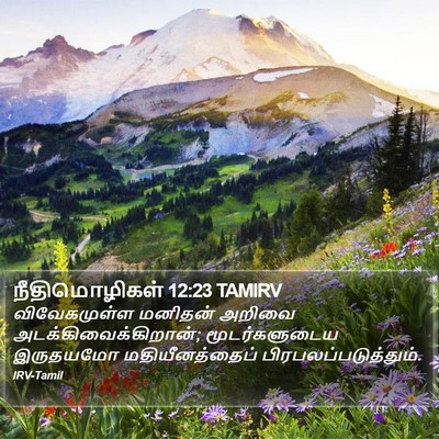 நீதிமொழிகள் 12:23 TAMIRV Bible Verse Image