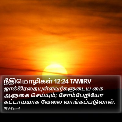 நீதிமொழிகள் 12:24 TAMIRV Bible Verse Image