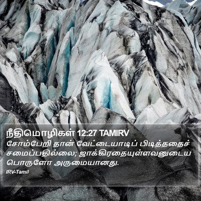 நீதிமொழிகள் 12:27 TAMIRV Bible Verse Image