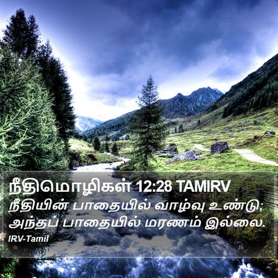 நீதிமொழிகள் 12:28 TAMIRV Bible Verse Image