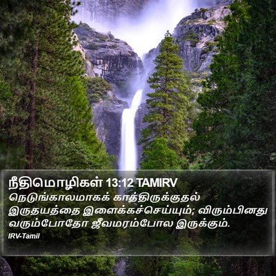 நீதிமொழிகள் 13:12 TAMIRV Bible Verse Image