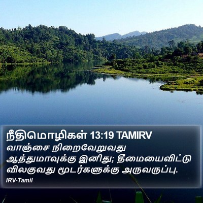 நீதிமொழிகள் 13:19 TAMIRV Bible Verse Image
