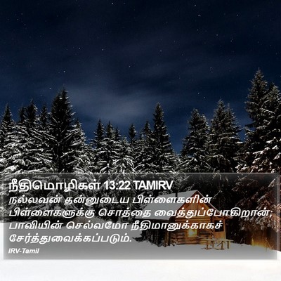 நீதிமொழிகள் 13:22 TAMIRV Bible Verse Image