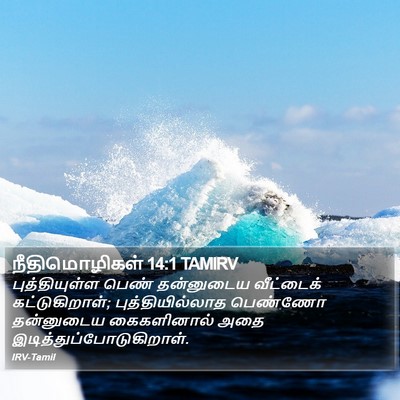 நீதிமொழிகள் 14:1 TAMIRV Bible Verse Image