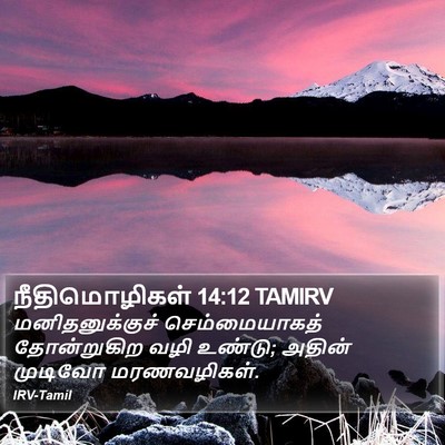 நீதிமொழிகள் 14:12 TAMIRV Bible Verse Image