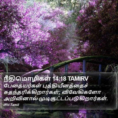 நீதிமொழிகள் 14:18 TAMIRV Bible Verse Image