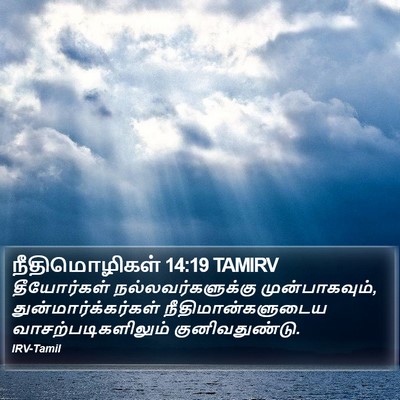 நீதிமொழிகள் 14:19 TAMIRV Bible Verse Image