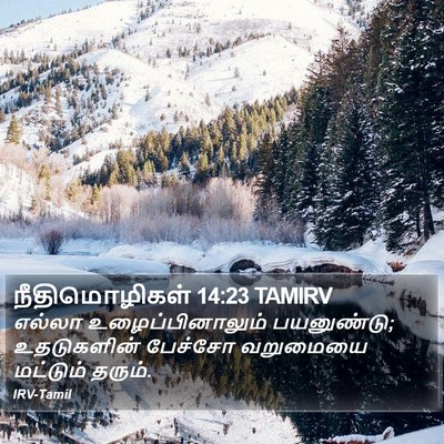 நீதிமொழிகள் 14:23 TAMIRV Bible Verse Image