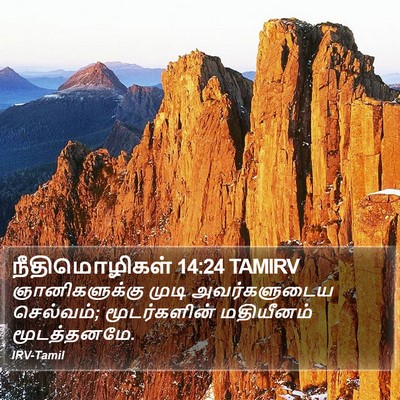 நீதிமொழிகள் 14:24 TAMIRV Bible Verse Image