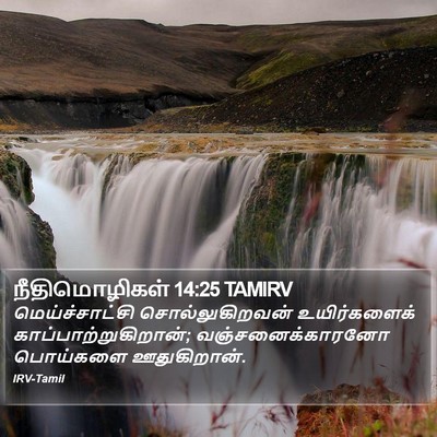 நீதிமொழிகள் 14:25 TAMIRV Bible Verse Image