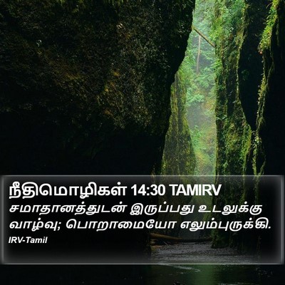 நீதிமொழிகள் 14:30 TAMIRV Bible Verse Image