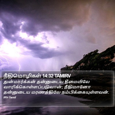 நீதிமொழிகள் 14:32 TAMIRV Bible Verse Image