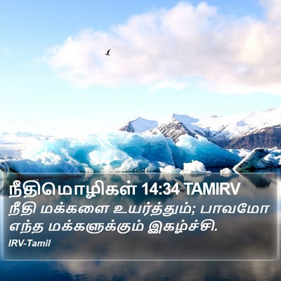 நீதிமொழிகள் 14:34 TAMIRV Bible Verse Image