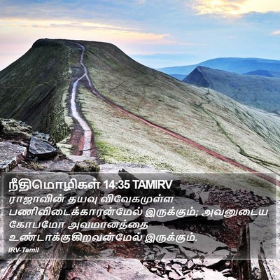 நீதிமொழிகள் 14:35 TAMIRV Bible Verse Image