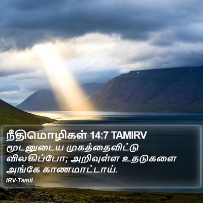 நீதிமொழிகள் 14:7 TAMIRV Bible Verse Image