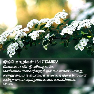 நீதிமொழிகள் 16:17 TAMIRV Bible Verse Image