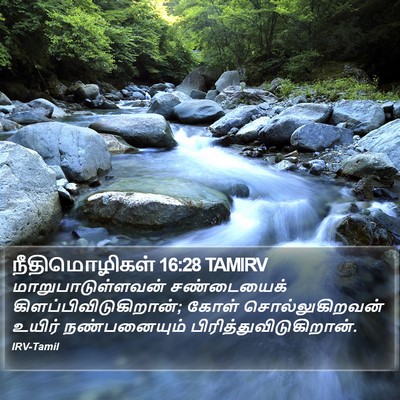 நீதிமொழிகள் 16:28 TAMIRV Bible Verse Image