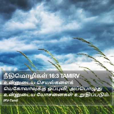 நீதிமொழிகள் 16:3 TAMIRV Bible Verse Image