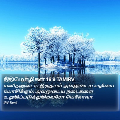 நீதிமொழிகள் 16:9 TAMIRV Bible Verse Image