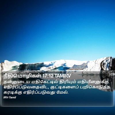 நீதிமொழிகள் 17:12 TAMIRV Bible Verse Image