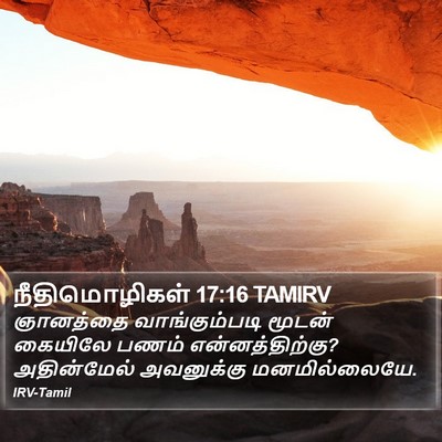 நீதிமொழிகள் 17:16 TAMIRV Bible Verse Image