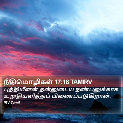 நீதிமொழிகள் 17:18 TAMIRV Bible Verse Image