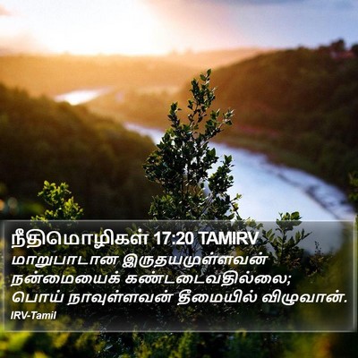 நீதிமொழிகள் 17:20 TAMIRV Bible Verse Image