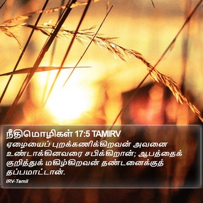 நீதிமொழிகள் 17:5 TAMIRV Bible Verse Image