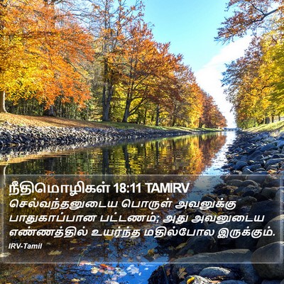 நீதிமொழிகள் 18:11 TAMIRV Bible Verse Image