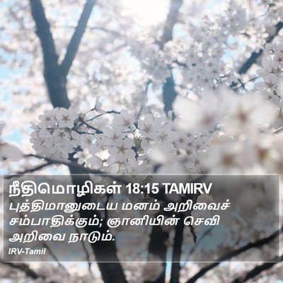 நீதிமொழிகள் 18:15 TAMIRV Bible Verse Image