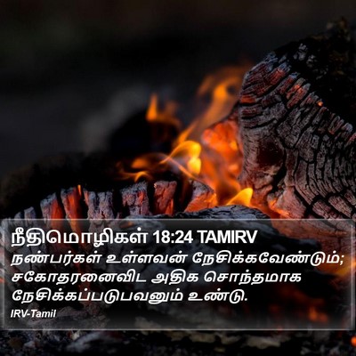 நீதிமொழிகள் 18:24 TAMIRV Bible Verse Image