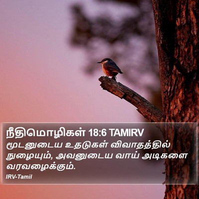 நீதிமொழிகள் 18:6 TAMIRV Bible Verse Image
