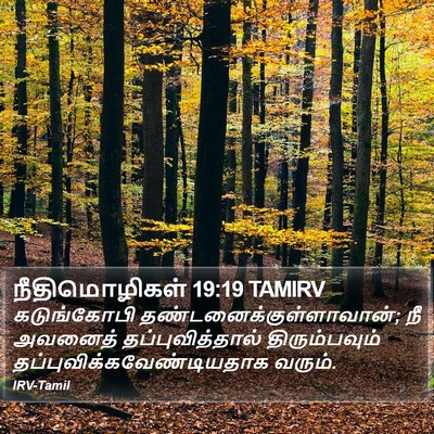 நீதிமொழிகள் 19:19 TAMIRV Bible Verse Image