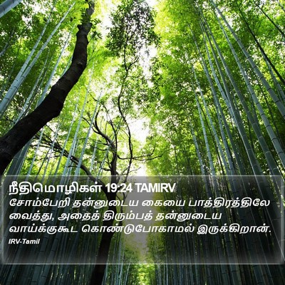 நீதிமொழிகள் 19:24 TAMIRV Bible Verse Image