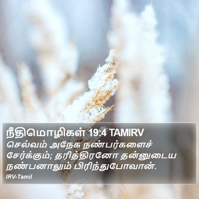 நீதிமொழிகள் 19:4 TAMIRV Bible Verse Image