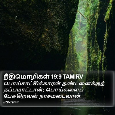 நீதிமொழிகள் 19:9 TAMIRV Bible Verse Image
