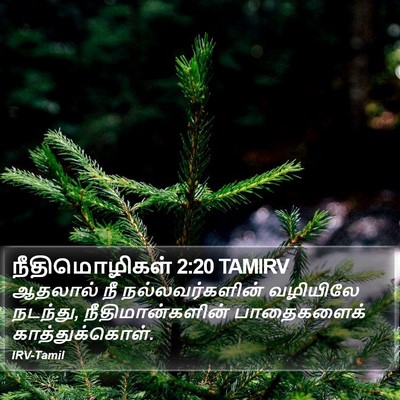 நீதிமொழிகள் 2:20 TAMIRV Bible Verse Image