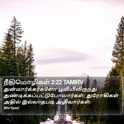 நீதிமொழிகள் 2:22 TAMIRV Bible Verse Image