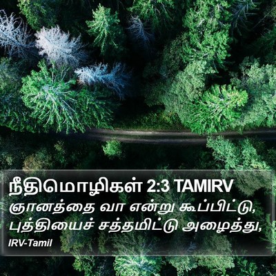 நீதிமொழிகள் 2:3 TAMIRV Bible Verse Image