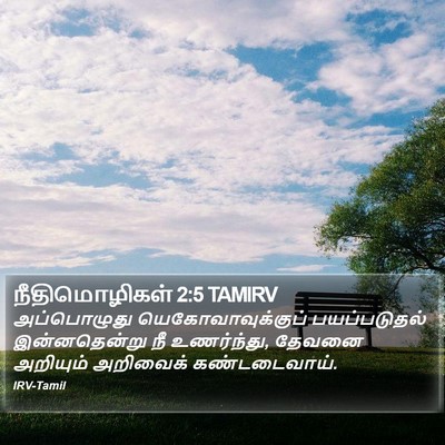 நீதிமொழிகள் 2:5 TAMIRV Bible Verse Image