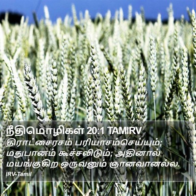 நீதிமொழிகள் 20:1 TAMIRV Bible Verse Image