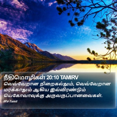 நீதிமொழிகள் 20:10 TAMIRV Bible Verse Image