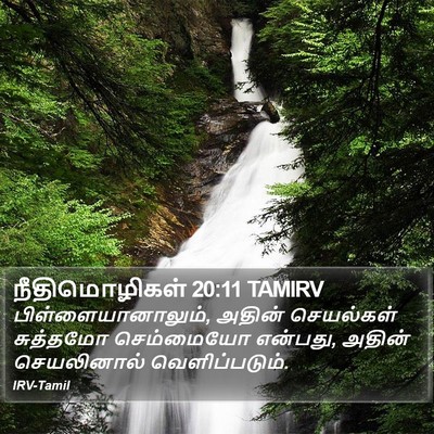 நீதிமொழிகள் 20:11 TAMIRV Bible Verse Image