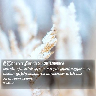 நீதிமொழிகள் 20:29 TAMIRV Bible Verse Image