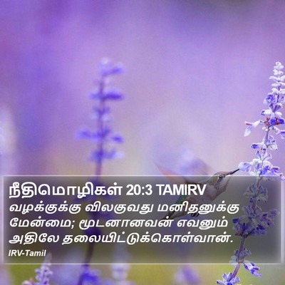 நீதிமொழிகள் 20:3 TAMIRV Bible Verse Image