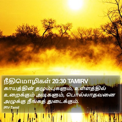 நீதிமொழிகள் 20:30 TAMIRV Bible Verse Image