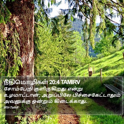 நீதிமொழிகள் 20:4 TAMIRV Bible Verse Image